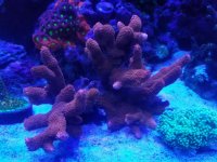 20170513_102832.jpg