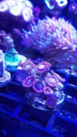 IMG_20171016_171243.jpg