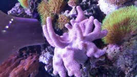 20170725_165723.jpg