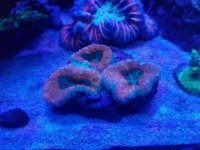 20170513_102847.jpg