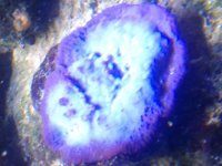 20180406_204834.jpg
