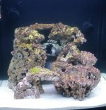 32 biocube.jpg