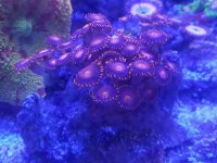 20180119_125110_resized.jpg