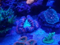 20170513_102855.jpg