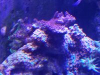 20180117_103859_resized.jpg