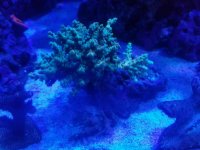 20170513_102908.jpg