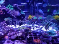 20171008_220854.jpg
