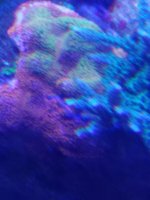 20180119_145346_resized.jpg