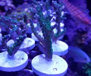 20171008_220926.jpg