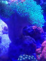 20180119_125208_resized.jpg