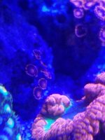 20180119_191312_resized.jpg