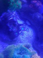 20180119_125059_resized.jpg