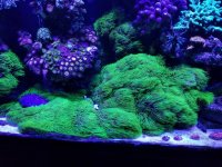 20170513_114733.jpg