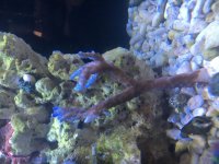 IMG_4698.jpg