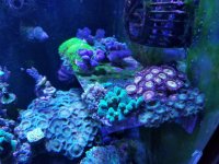 20170513_114740.jpg