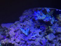 IMG_4703.jpg