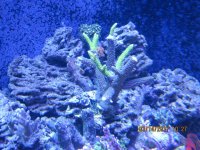 IMG_2116.jpg