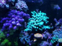 20170513_114744.jpg