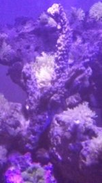 IMG_20180119_194532.jpg