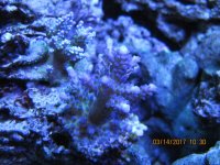 IMG_2126.jpg