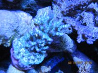 IMG_2123.jpg