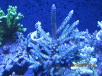 IMG_2153.jpg