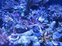 IMG_2114.jpg