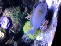 20180408_225924.jpg