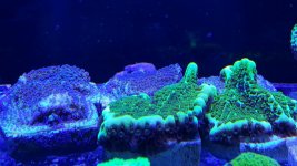20171019_144914.jpg