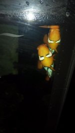 IMG_20180119_063032.jpg