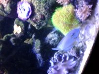 20180408_225919.jpg