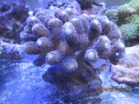 IMG_2094.jpg