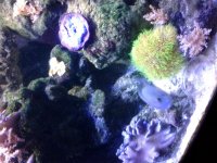 20180408_225757.jpg
