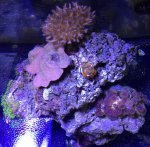 IMG_7075.jpg