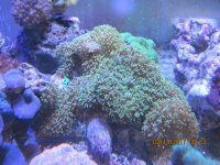 IMG_2093.jpg