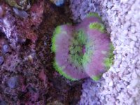20161227_131448.jpg