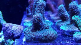 20171018_152843.jpg