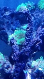 IMG_20180120_170801.jpg