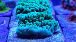 20171018_152801.jpg