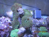 IMG_2099.jpg
