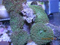 IMG_2103.jpg