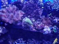 20161206_180018.jpg
