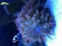6C017E23-10D7-4F18-97E7-23AC04FAE68D.jpg