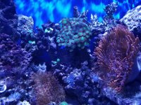 20161206_180025.jpg