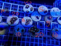 20170727_175628.jpg