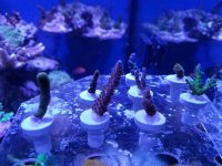 20170107_124743.jpg