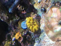 IMG_2045.jpg