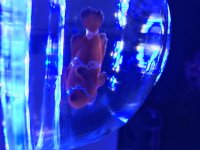IMG_8005.jpg