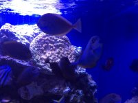 IMG_0343.jpg