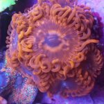 IMG_20180120_222350.jpg